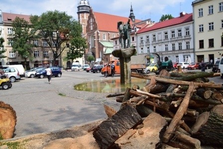 Kraków. Egzekucja drzew na placu Wolnica. Urzędnicy wyjaśniają: Musieliśmy to zrobić