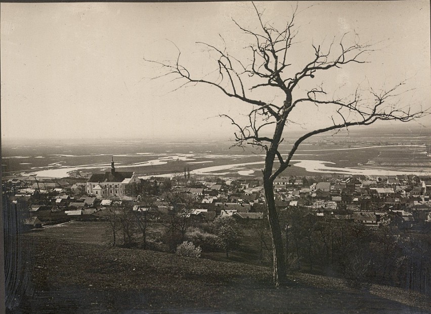 Panorama Pińczowa w 1931 roku. Zobacz więcej na kolejnych...