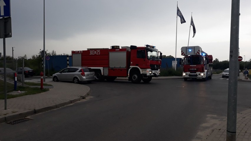 Pożar pojemnika na odpady przy ul. Limby w Szczecinie. Interweniowały cztery zastępy straży pożarnej 