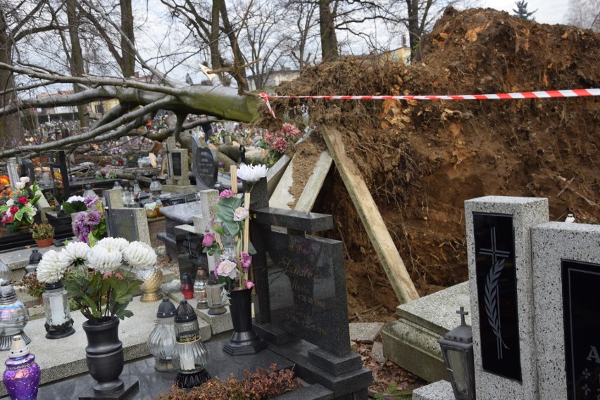 Zniszczone nagrobki na cmentarzu Wszystkich Świętych w...