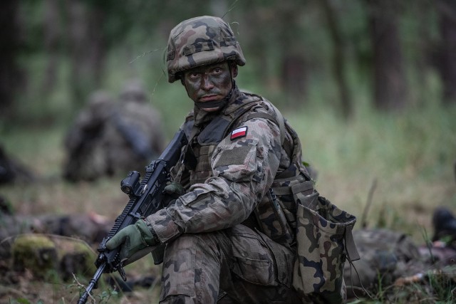 Najlepsi żołnierze rezerwowej służby zasadniczej mogą zostać powołani do armii zawodowej.