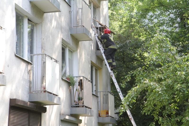 Straż, pogotowie i policja przy Alei Jaworowej. Mieszkańcy martwili się o współlokatorów (ZDJĘCIA)