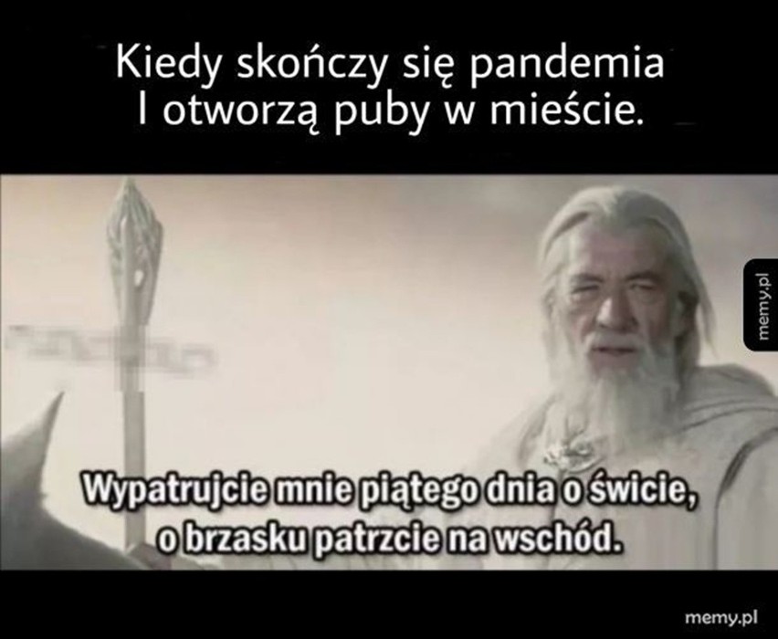 Koniec kwarantanny coraz bliżej? Internauci śmieją się z nowej rzeczywistości. Zobacz MEMY 