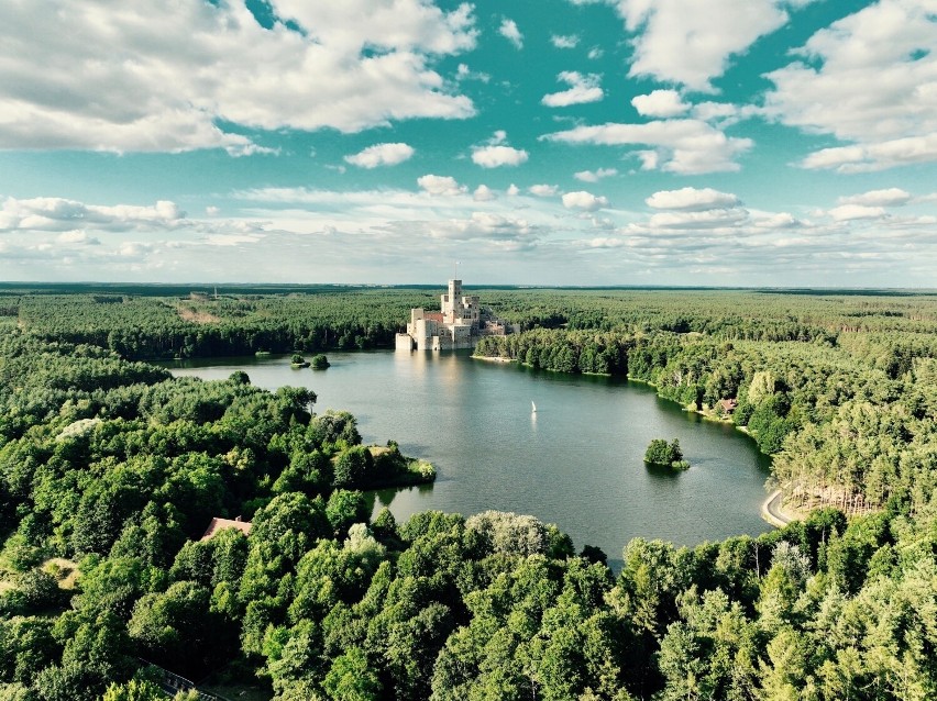 Zamek Stobnica - o tym kontrowersyjnym GIGANCIE mówi cała Polska. Teraz można podejść pod mury! Otwarto ścieżkę edukacyjną - ZDJĘCIA