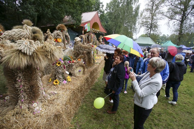 Oceniono ponad 20 tradycyjnych i nietradycyjnych chlebów. W pierwszej kategorii zwyciężył wieniec przygotowany przez sołectwo Warcino, a w drugiej -  osiedle Redzikowo