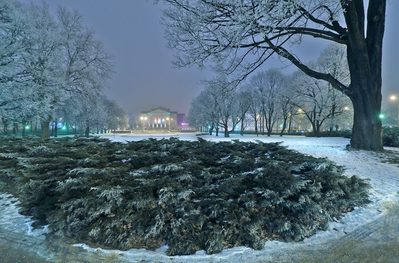 Zimowy Poznań nocą