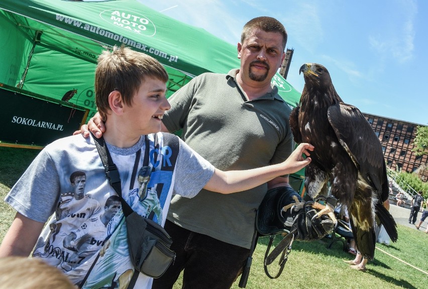 piknik Myśliwski Wyspa Młyńska...