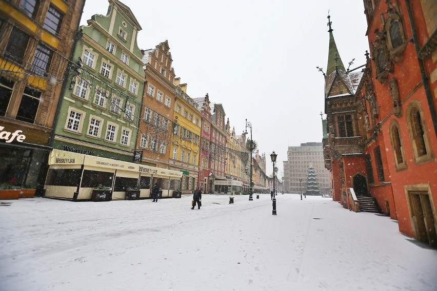 We Wrocławiu zrobiło się biało. Pierwszy śnieg w mieście w tym sezonie [ZDJĘCIA]
