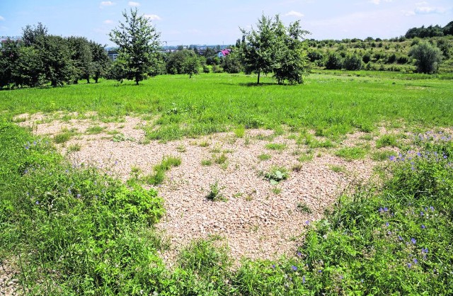 Zarośnięty trawą i chwastami plac apelowy