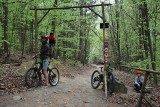 Złote Ścieżki w Głuchołazach– raj dla amatorów górskich zjazdów na rowerze