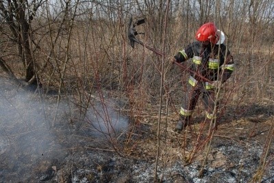 Bezmyślne wypalanie traw może się skończyć interwencją strażaków