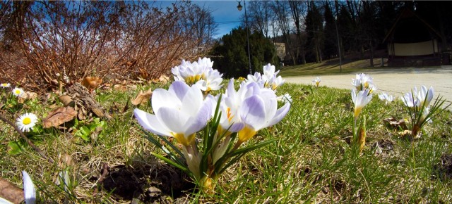 WIOSNA 2019 - KALENDARZOWA WIOSNA 2019 - ASTRONOMICZNA WIOSNA 2019 - PIERWSZY DZIEŃ WIOSNY 2019