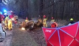 Tragiczny wypadek w powiecie lipskim. Samochód uderzył w drzewo i dachował. Śmierć poniosło dwóch młodych ludzi w wieku 18 i 19 lat