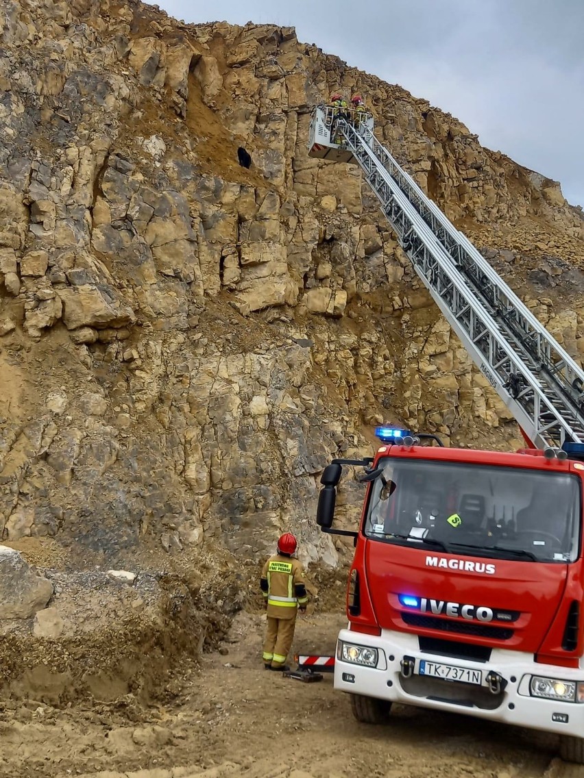 Pies utknął na półce skalnej na wysokości 17 metrów na terenie kopalni w gminie Łagów. Pomogli strażacy