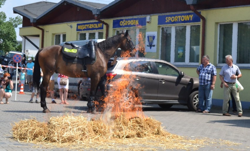 Święto Policji Będzin 2014