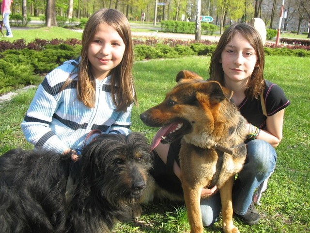 Podczas akcji adopcyjnej psami opiekowały się między innymi Beata Szulga (z lewej) i Asia Bielska. Razem z nimi na zdjęciu Odi i Kuba.
