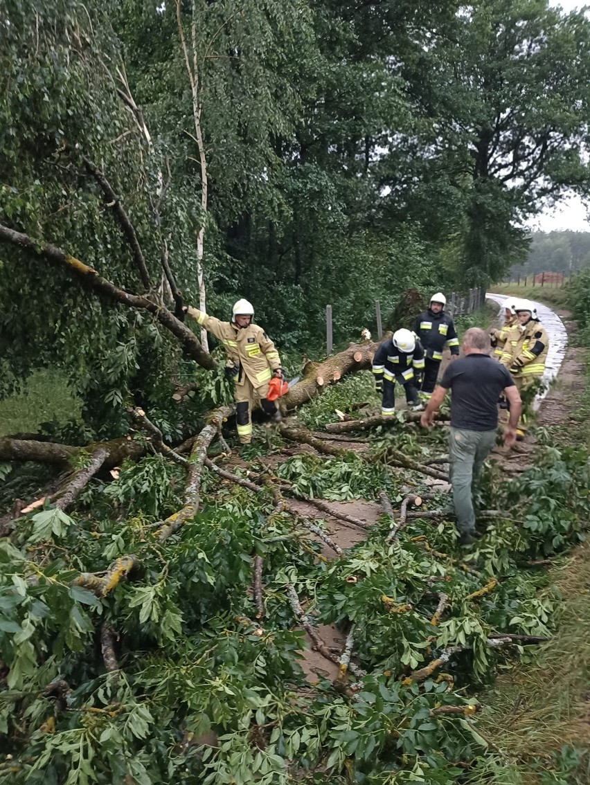 Wichura siała spustoszenie w regionie. 100 wyjazdów i...