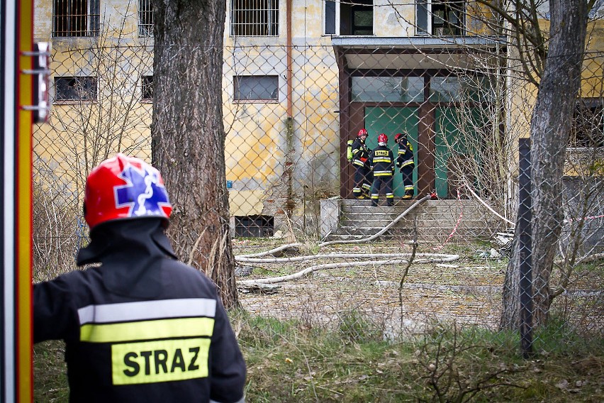 Paliło się w magazynie przy ul. Wąbrzeskiej