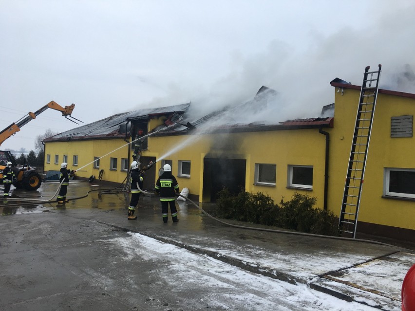 Groźny pożar w pow. chełmińskim. Strażacy walczą z ogniem