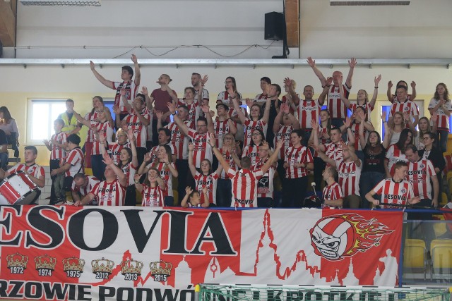 Kibice z Rzeszowa podczas meczu GKS Katowice - Asseco Resovia
