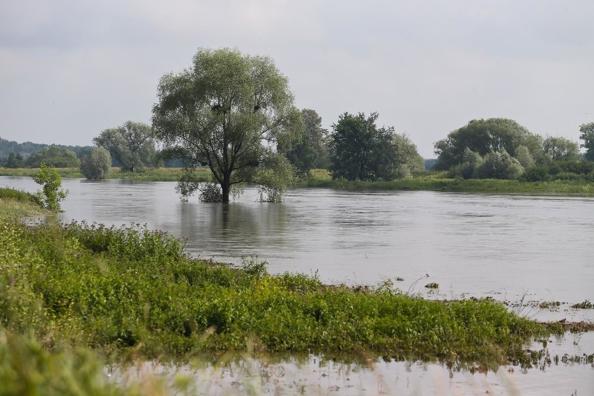 Mocno padało we Wrocławiu i okolicach. Poziom wody w rzekach rośnie