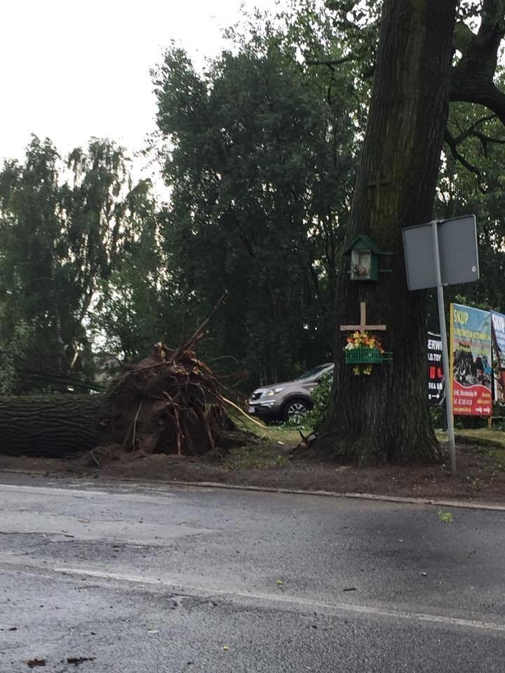 Burza w Łodzi. Nawałnica nad Łodzią. Powalone drzewa, gałęzie na drogach, zalane ulice [ZDJĘCIA]