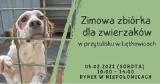 Niepołomice. Czas na zimową zbiórkę karmy dla psów i kotów, na rzecz przytuliska w Łętkowicach. To już piąta taka akcja na miejskim rynku