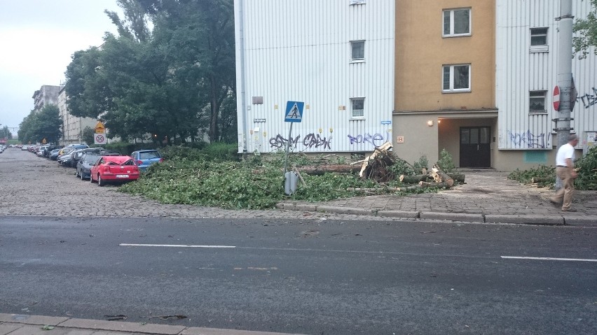 Skutki nocnej nawałnicy we Wrocławiu