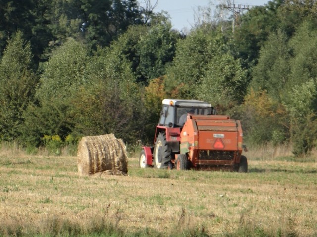 Maksymalnie na jeden hektar gruntów można dostać 81,71 zł zwrotu