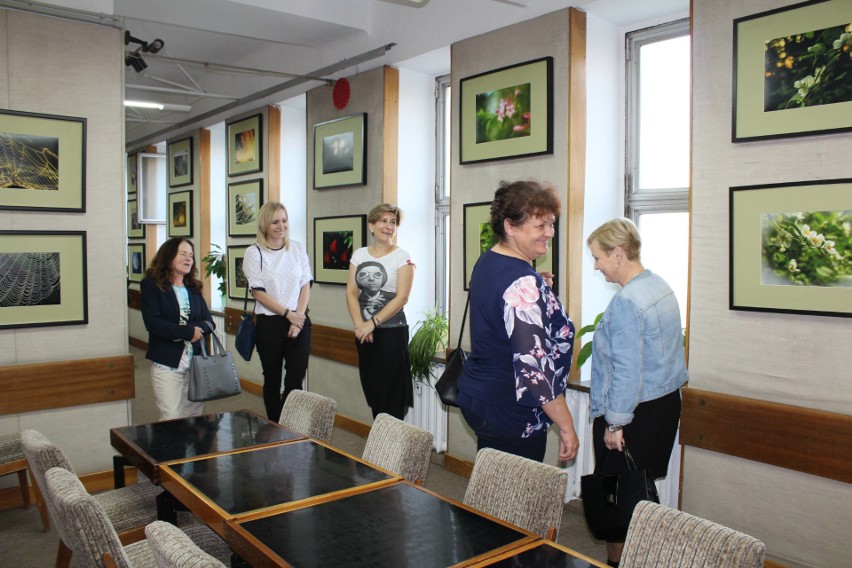 Bibliotekarze z powiatu kazimierskiego odwiedzili bibliotekę w Starachowicach. To była inspirująca wizyta [ZDJĘCIA]