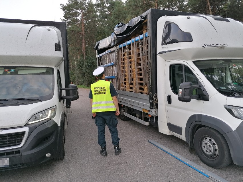 Akcja "Drogołamacz". Ładunek drewna był o 12 100 kg za ciężki (zdjęcia)