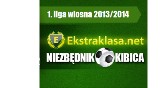 Niezbędnik Kibica - 1. liga wiosna 2013/2014