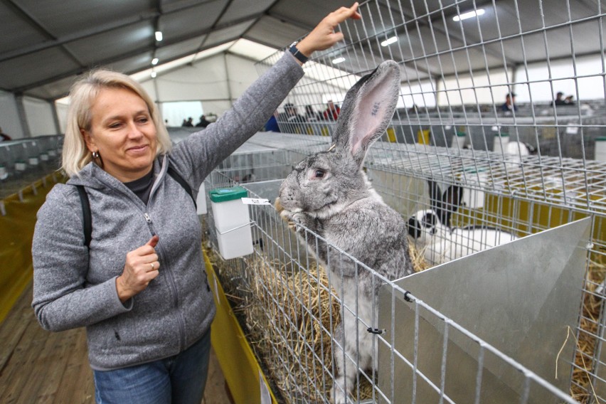 XVII Jesienna Giełda Ogrodnicza w PODR w Boguchwale [ZDJĘCIA]