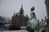 Dni zaśnieżonego Wrocławia są policzone. Idzie odwilż. Szczegółowa prognoza pogody na 22-24 stycznia 