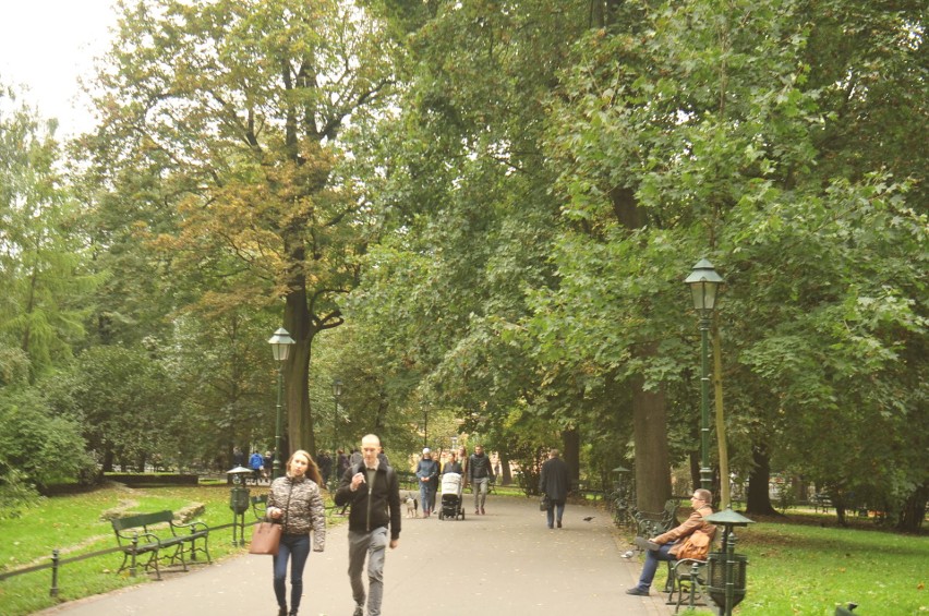 Kraków. Przed nami polska złota jesień. Widać ją już na Plantach [GALERIA]