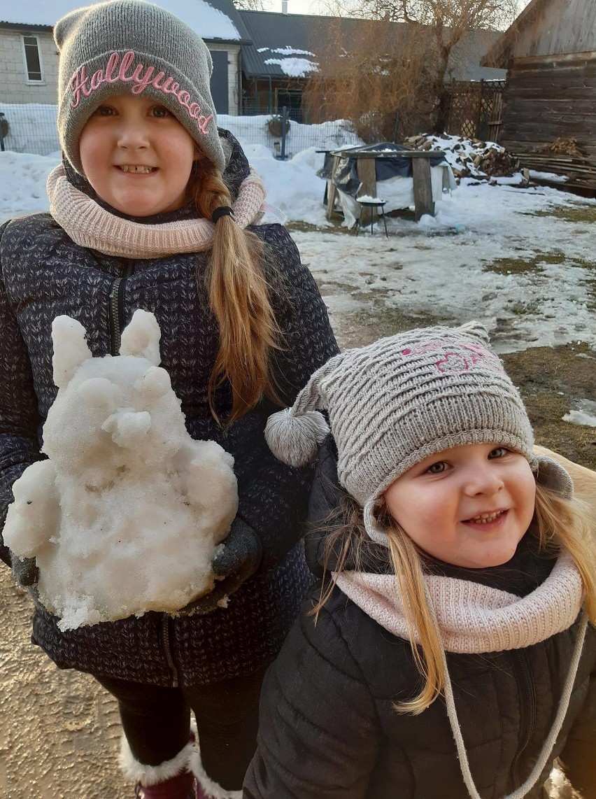 Dzieci ze szkoły w Tymiankach-Buciach ulepiły ze śniegu sowy. Ptaki powstały w ramach zabawy organizowanej przez małkiński GOKiS. Zdjęcia