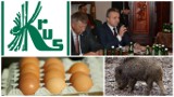 Agro wieści tygodnia: KRUS zostaje, salmonella w polskich jajach, ASF