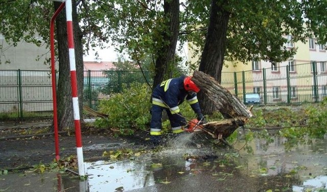 Strażacy usuwają zwalone drzewa w całym regionie. Na zdjęciu- akcja w Ełku.