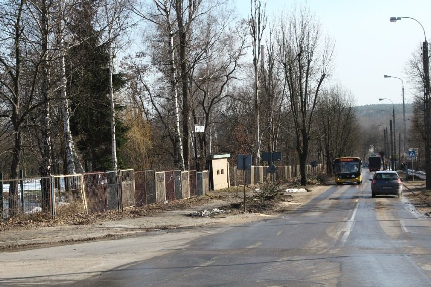 Wielkie cięcie w Skarżysku - Kamiennej. Z powodu inwestycji drzewa idą pod topór (ZDJĘCIA)