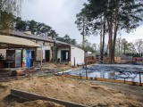 Znikają kultowe domki Jacek i Agatka! Kolejna rozbiórka w letnisku w Boszkowie