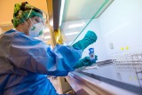 Koronawirus w Polsce: ponad 13,5 tys. nowych zakażeń