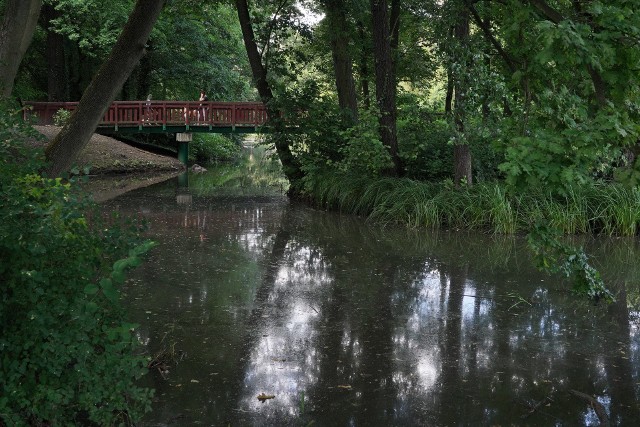 Tylko w przeciągu ostatniego miesiąca pracownicy Wojewódzkiego Inspektoratu Ochrony Środowiska trzykrotnie pobierali próbki wody, by zbadać, co zanieczyszcza wodę w parku Sołackim.