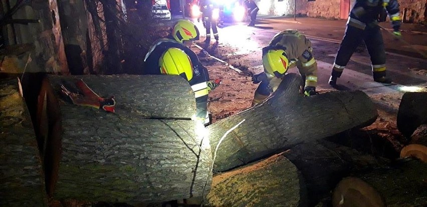 Huragan Dennis łagodniejszy od Ciary, ale szkód i tak narobił 