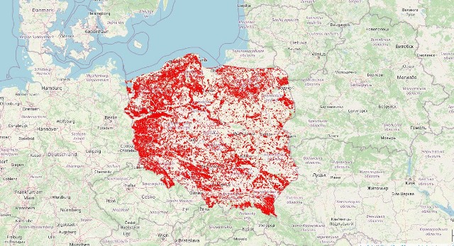 Zanim wytną Twój las - powstała mapa przygotowana przez twórców inicjatywy Lasy i Obywatele.