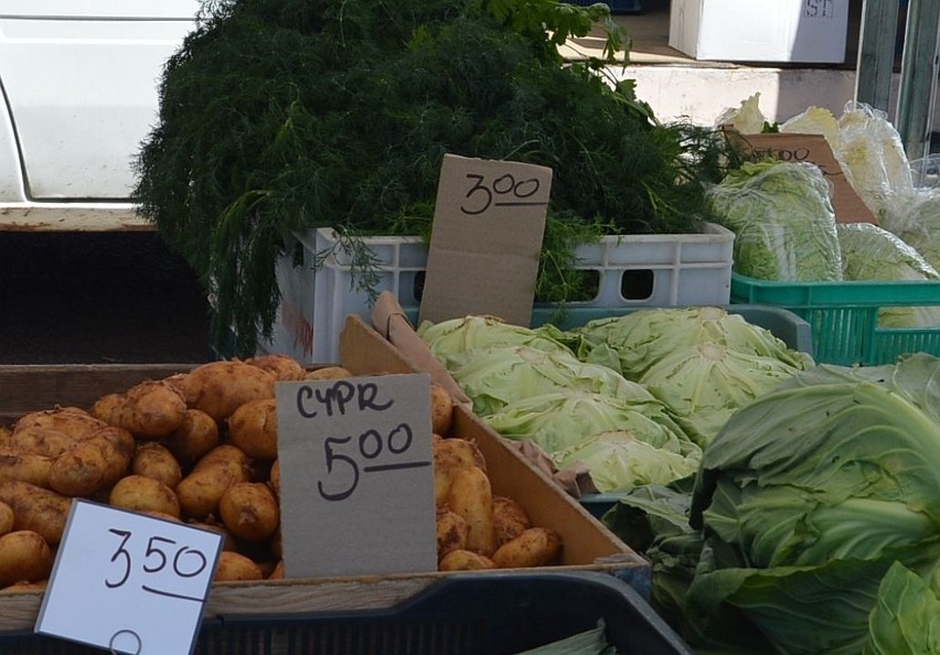 Młode ziemniaki Cypr 5 zł za kilogram, sałata 3 zł za...