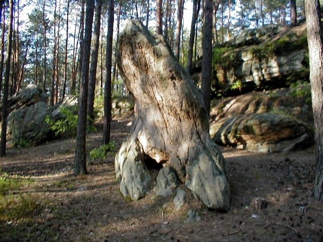 Na terenie rezerwatu w Krynkach są bardzo ciekawe figury skalne