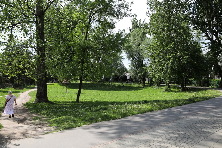 Park Młynówka Królewska