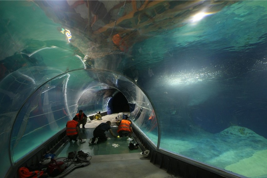 Afrykarium we wrocławskim zoo już niemal gotowe