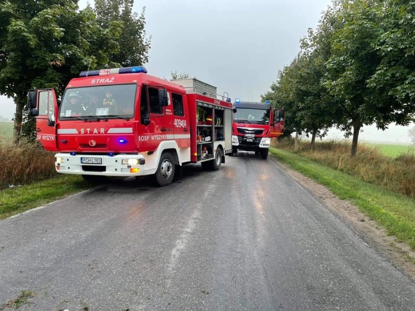 Samochód z ogromną siłą uderzył w przydrożne drzewo....