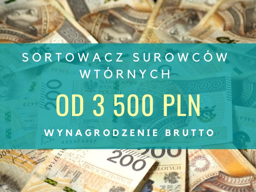 Ile można zarobić w Koszalinie i okolicach? Sprawdź proponowane pensje!